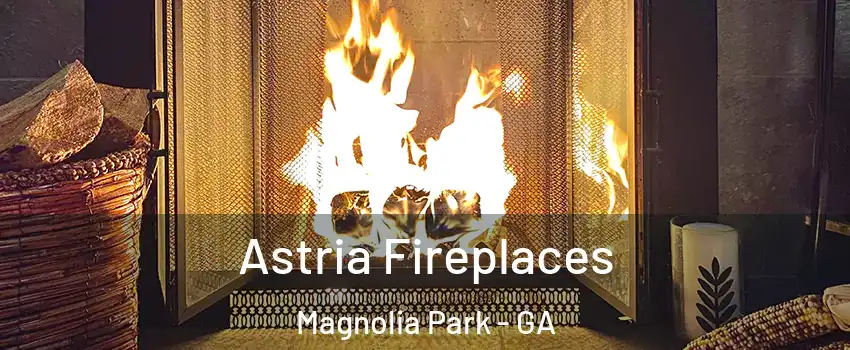 Astria Fireplaces Magnolia Park - GA