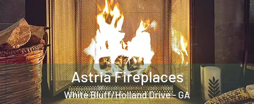 Astria Fireplaces White Bluff/Holland Drive - GA