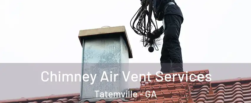 Chimney Air Vent Services Tatemville - GA