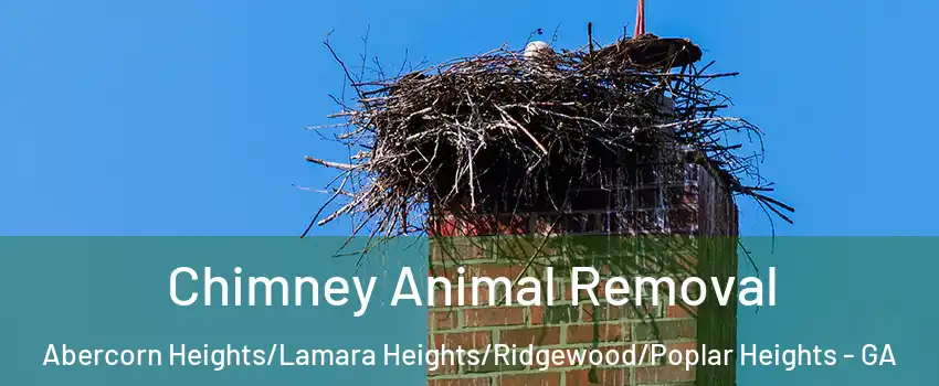 Chimney Animal Removal Abercorn Heights/Lamara Heights/Ridgewood/Poplar Heights - GA