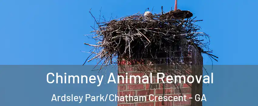 Chimney Animal Removal Ardsley Park/Chatham Crescent - GA