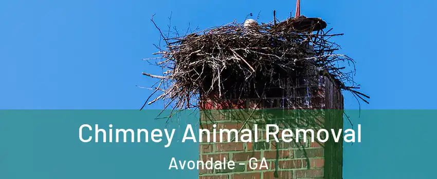 Chimney Animal Removal Avondale - GA