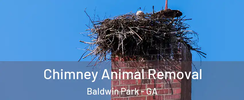 Chimney Animal Removal Baldwin Park - GA
