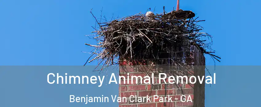 Chimney Animal Removal Benjamin Van Clark Park - GA