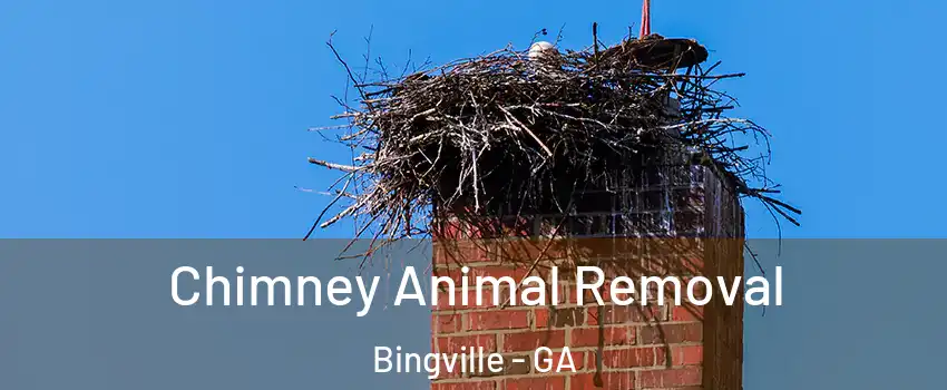 Chimney Animal Removal Bingville - GA