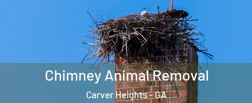 Chimney Animal Removal Carver Heights - GA
