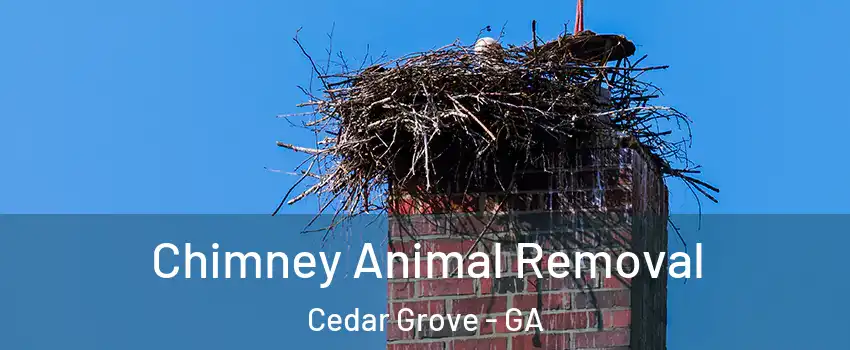 Chimney Animal Removal Cedar Grove - GA