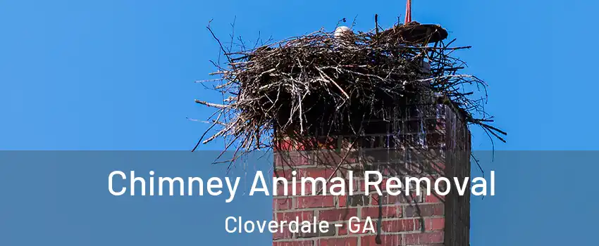Chimney Animal Removal Cloverdale - GA