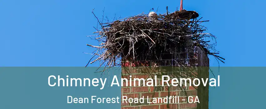 Chimney Animal Removal Dean Forest Road Landfill - GA