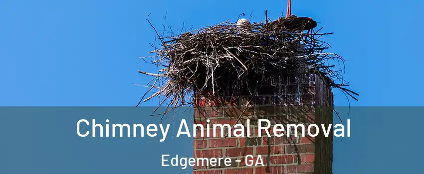Chimney Animal Removal Edgemere - GA