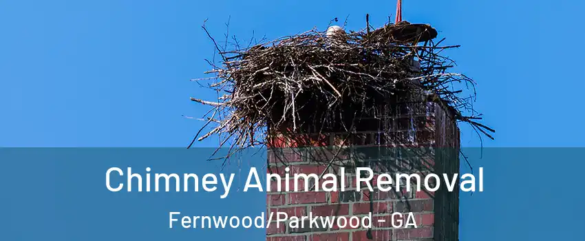 Chimney Animal Removal Fernwood/Parkwood - GA