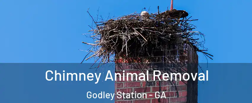 Chimney Animal Removal Godley Station - GA