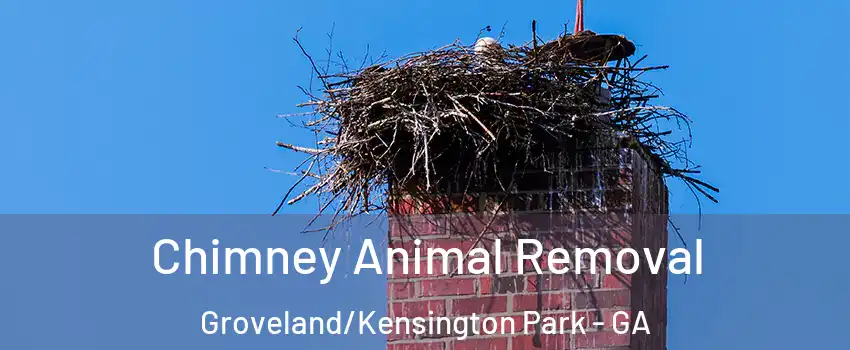 Chimney Animal Removal Groveland/Kensington Park - GA
