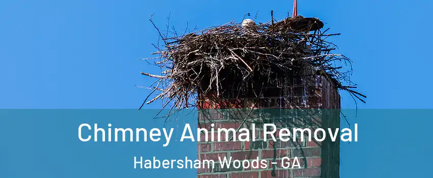 Chimney Animal Removal Habersham Woods - GA