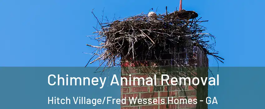 Chimney Animal Removal Hitch Village/Fred Wessels Homes - GA