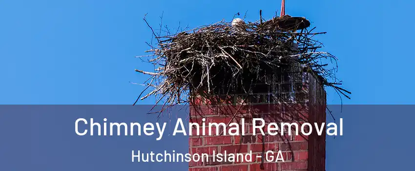 Chimney Animal Removal Hutchinson Island - GA
