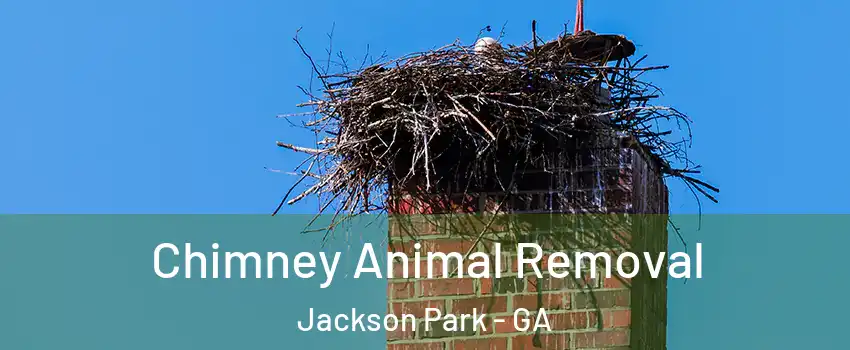 Chimney Animal Removal Jackson Park - GA