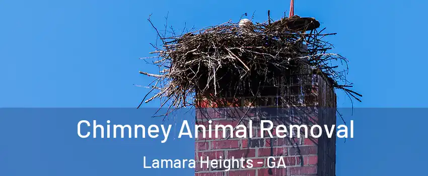 Chimney Animal Removal Lamara Heights - GA