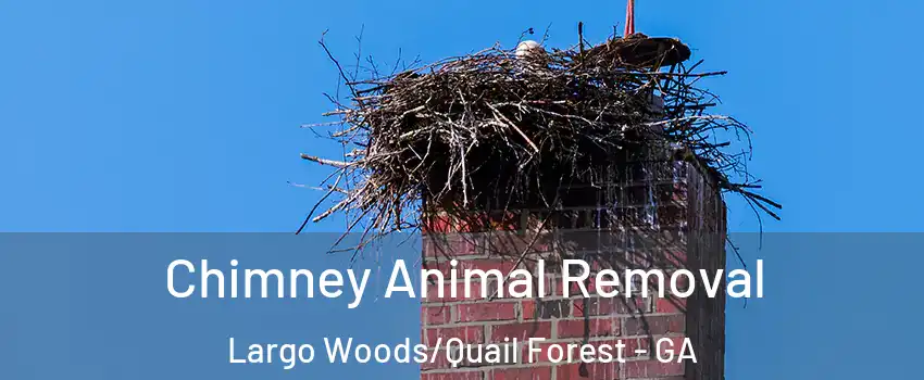 Chimney Animal Removal Largo Woods/Quail Forest - GA