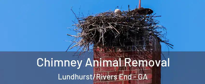 Chimney Animal Removal Lundhurst/Rivers End - GA