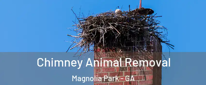 Chimney Animal Removal Magnolia Park - GA