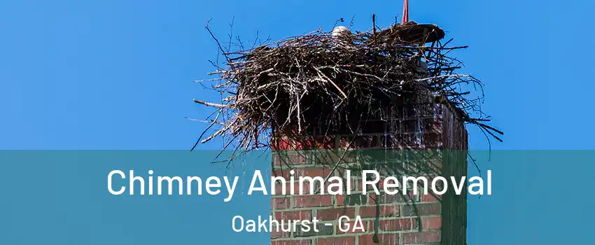 Chimney Animal Removal Oakhurst - GA