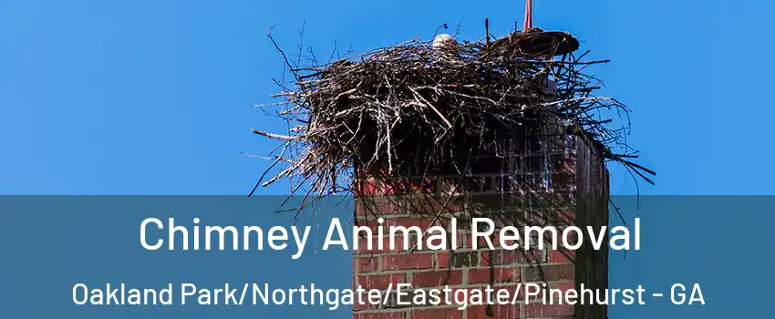 Chimney Animal Removal Oakland Park/Northgate/Eastgate/Pinehurst - GA