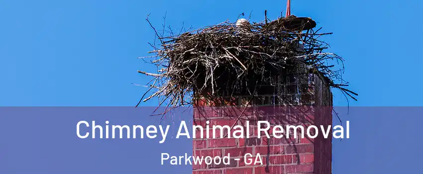 Chimney Animal Removal Parkwood - GA