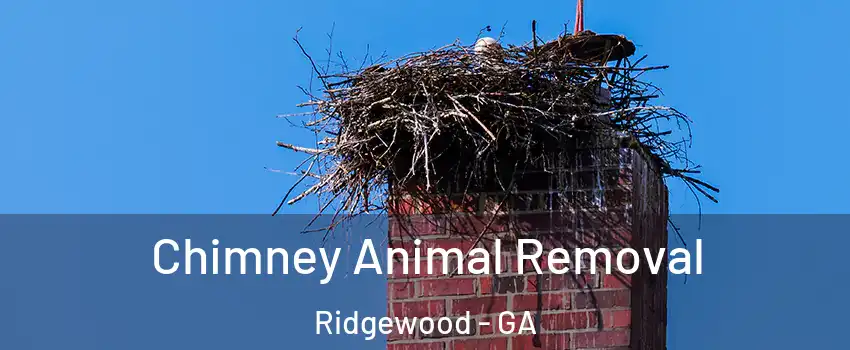 Chimney Animal Removal Ridgewood - GA