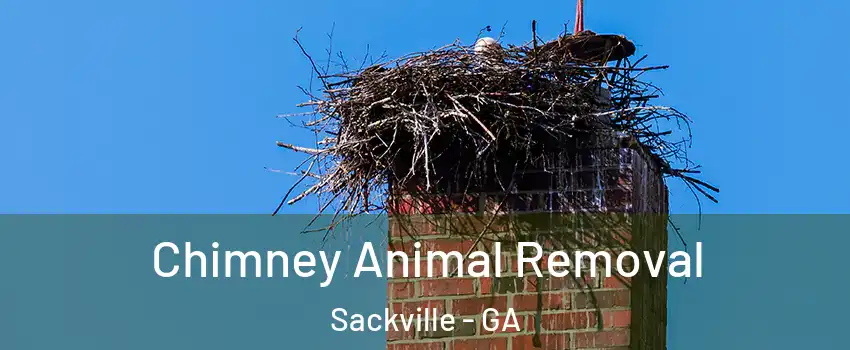Chimney Animal Removal Sackville - GA