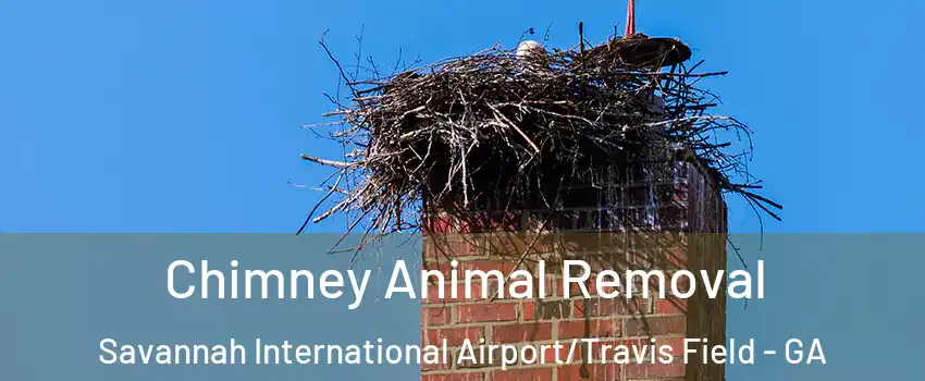 Chimney Animal Removal Savannah International Airport/Travis Field - GA