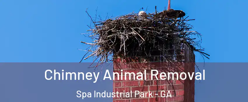 Chimney Animal Removal Spa Industrial Park - GA
