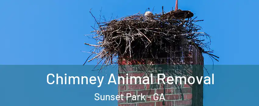 Chimney Animal Removal Sunset Park - GA