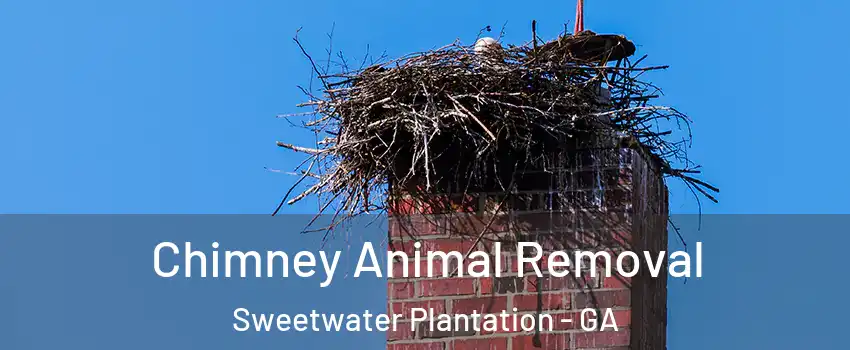 Chimney Animal Removal Sweetwater Plantation - GA