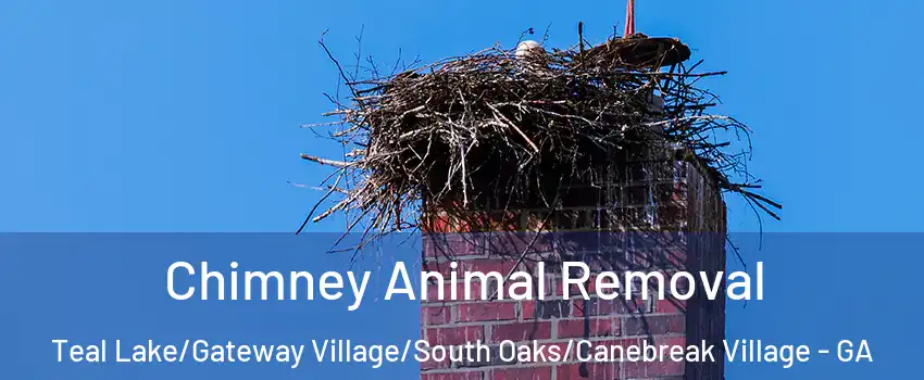Chimney Animal Removal Teal Lake/Gateway Village/South Oaks/Canebreak Village - GA