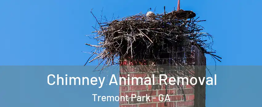 Chimney Animal Removal Tremont Park - GA