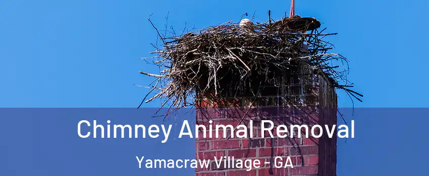 Chimney Animal Removal Yamacraw Village - GA