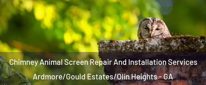 Chimney Animal Screen Repair And Installation Services Ardmore/Gould Estates/Olin Heights - GA