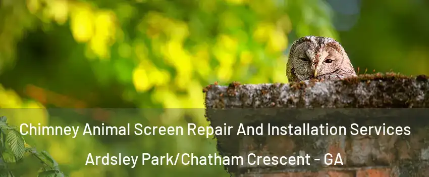 Chimney Animal Screen Repair And Installation Services Ardsley Park/Chatham Crescent - GA