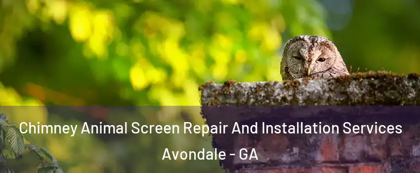 Chimney Animal Screen Repair And Installation Services Avondale - GA