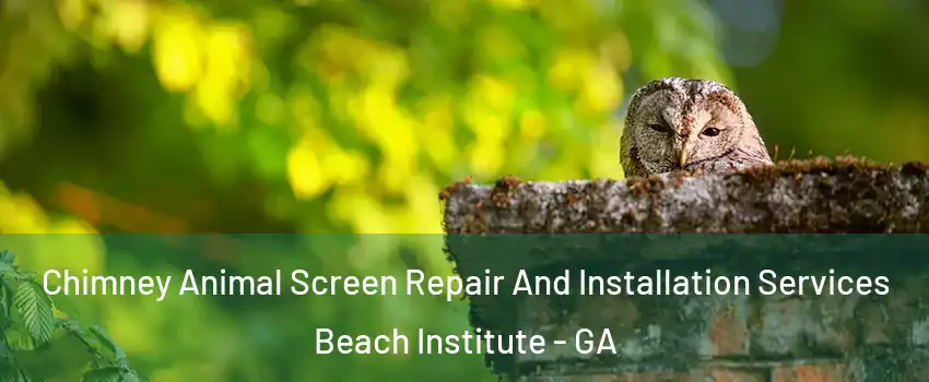 Chimney Animal Screen Repair And Installation Services Beach Institute - GA