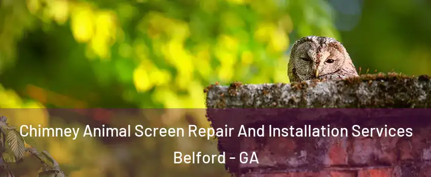 Chimney Animal Screen Repair And Installation Services Belford - GA