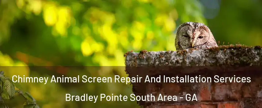 Chimney Animal Screen Repair And Installation Services Bradley Pointe South Area - GA