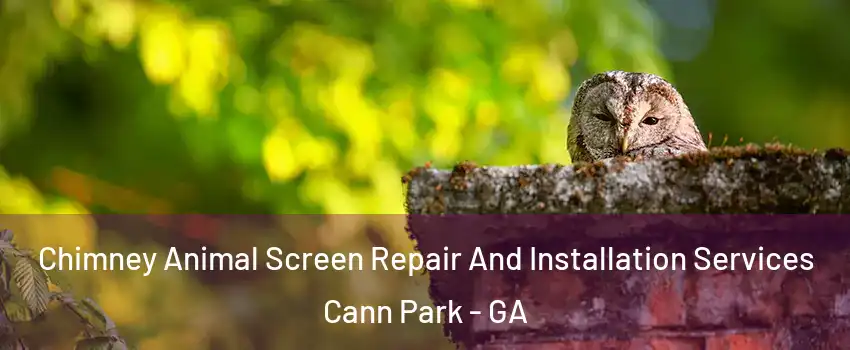 Chimney Animal Screen Repair And Installation Services Cann Park - GA