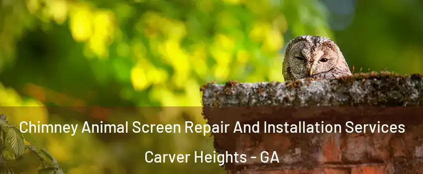 Chimney Animal Screen Repair And Installation Services Carver Heights - GA
