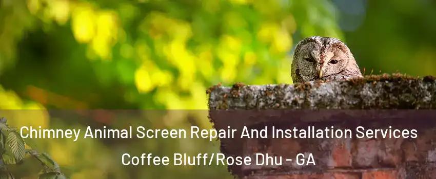 Chimney Animal Screen Repair And Installation Services Coffee Bluff/Rose Dhu - GA
