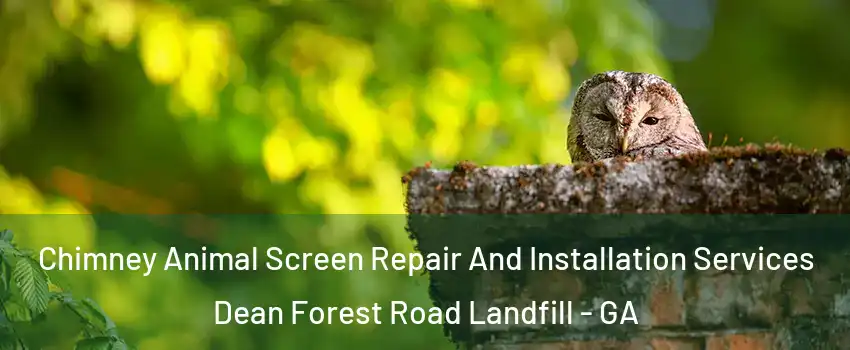Chimney Animal Screen Repair And Installation Services Dean Forest Road Landfill - GA