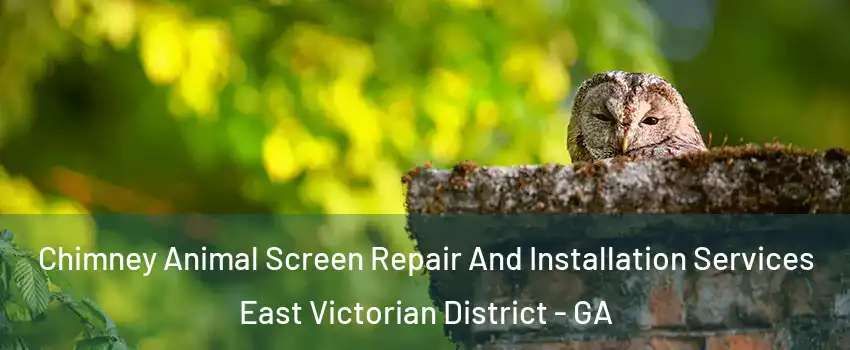 Chimney Animal Screen Repair And Installation Services East Victorian District - GA
