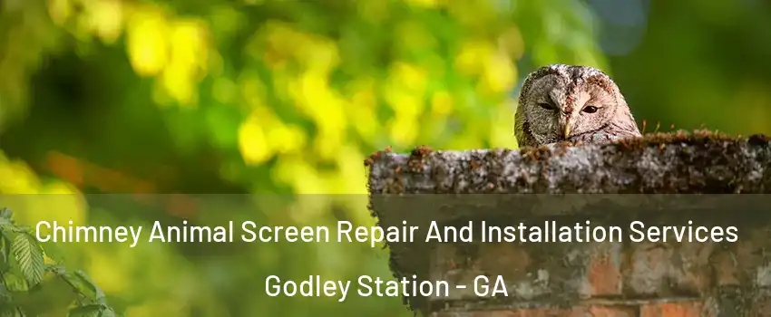 Chimney Animal Screen Repair And Installation Services Godley Station - GA