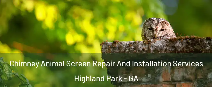Chimney Animal Screen Repair And Installation Services Highland Park - GA